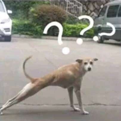 刚到日本被褥生活用品怎么准备,去日本超市必买物品