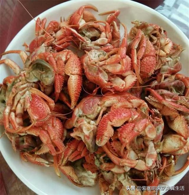 大钦岛旅游渔家乐,夏天最美的海边风景