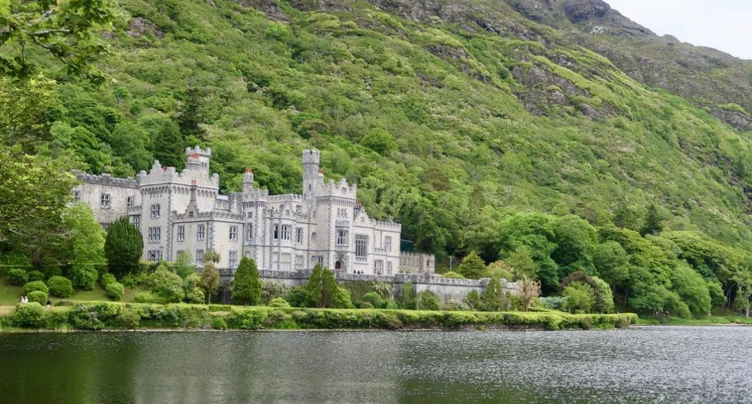 飞鸟越过珊瑚海,飞鸟越过山林