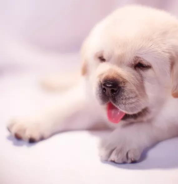 拯救不开心之类电影推荐,十部让人内心平静的电影