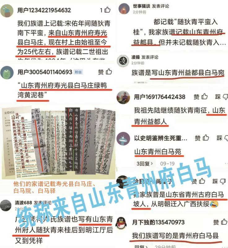 南宁白马后裔寻根新思考,南宁白马后裔寻根