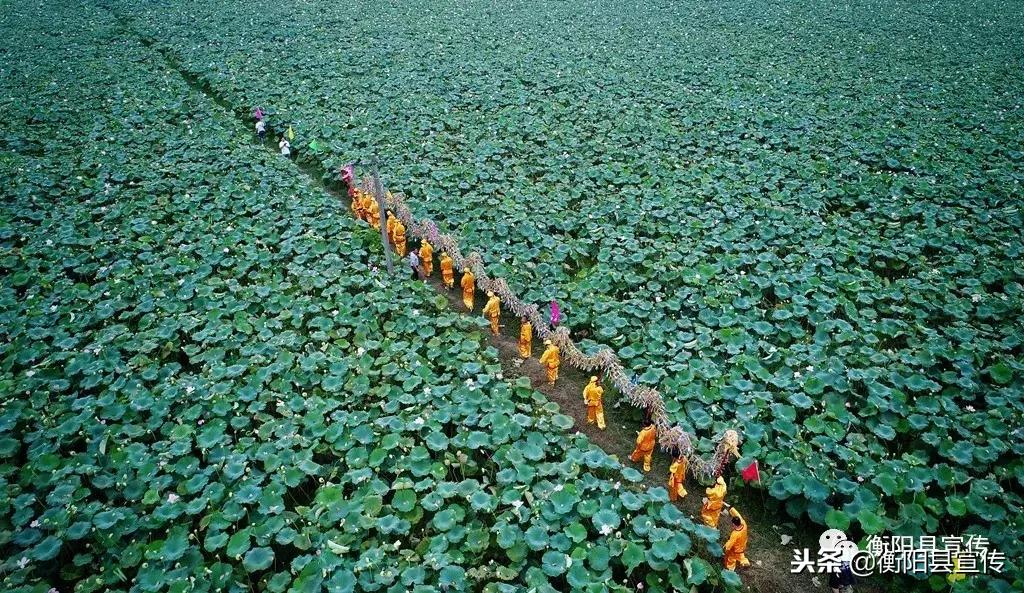燃！衡阳才子写的一首《衡阳县赋》，赞100遍“好有才”都不够
