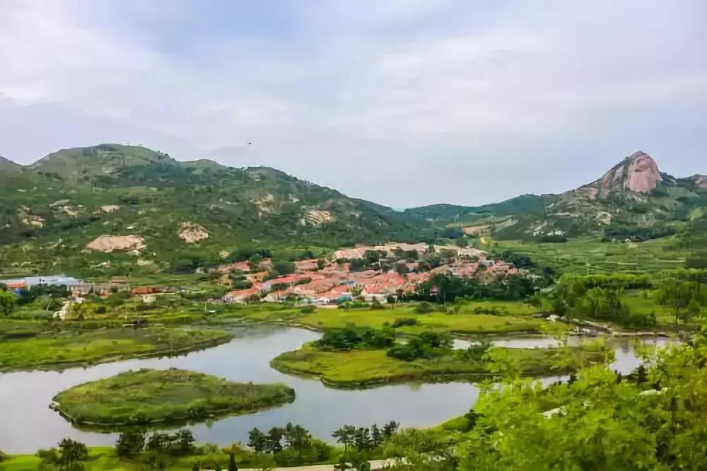 乳山牡蛎怎么吃的视频,乳山精致牡蛎