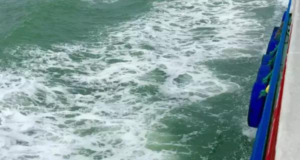 舟山东极岛风景,东极岛旅游视频