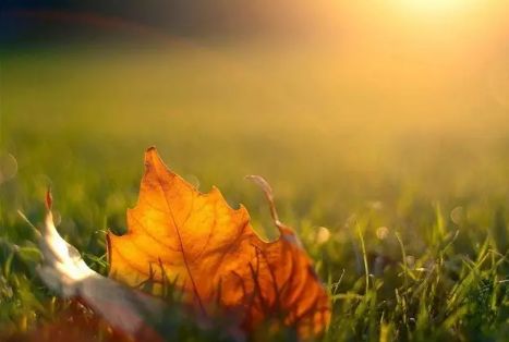 前女友突然回来找我复合怎么办,前女友回来了要不要继续找她