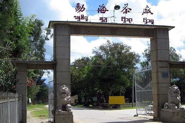 你也喜欢普洱茶吗,和你喝普洱茶的人