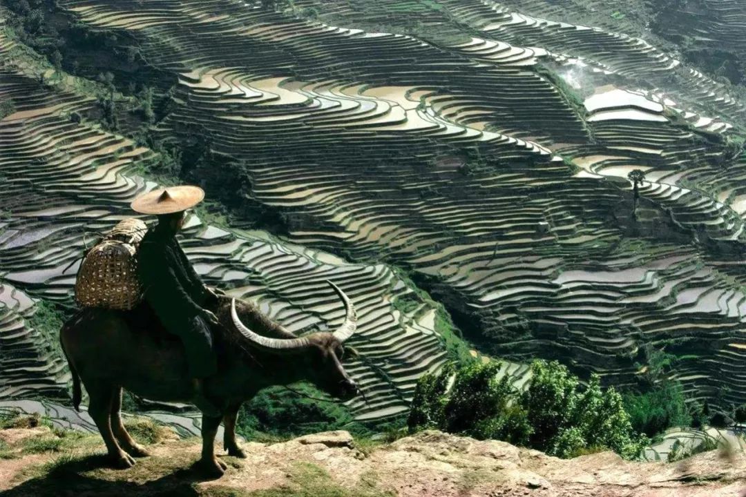 中国这十大景观，是这样发现的