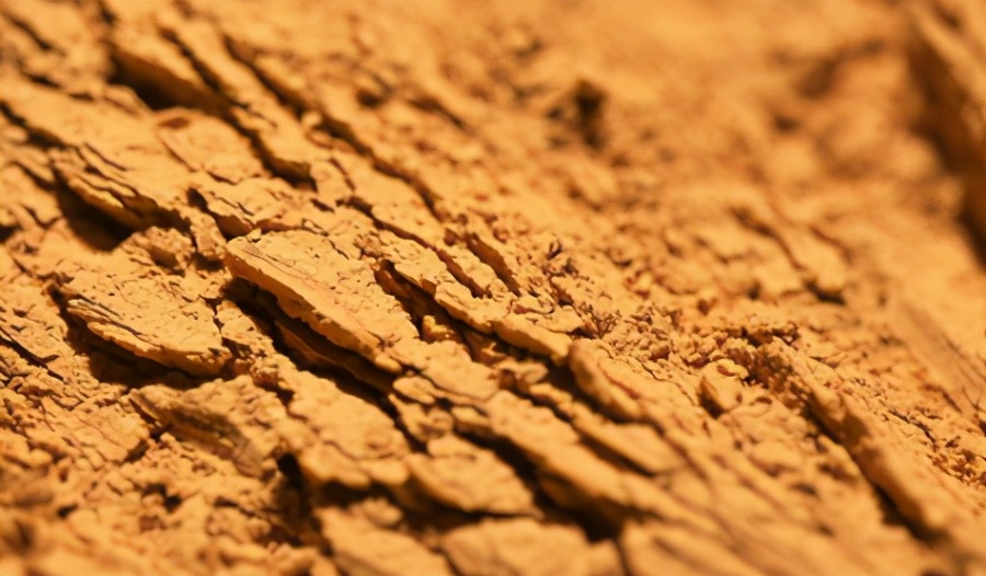 盘点19个你可能不知道的科学“冷知识”