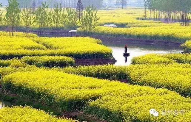 温州二线城市房租吊打一线城市,温州二线城市全景图