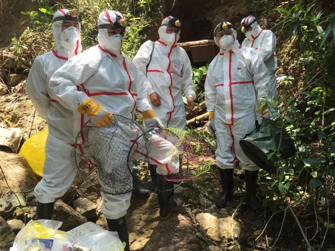 从疫情管控到放开,远离病毒从野味开始