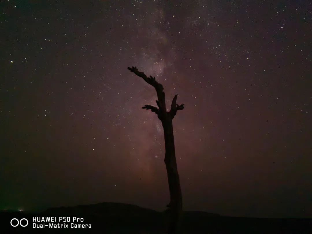哪款手机拍照能比得上苹果13,iphone手机谁拍照最好用