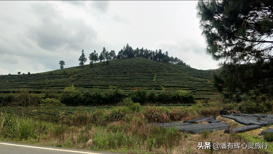 徒步第76天，做主播到现在有些粉丝不喜欢给我刷网上的礼物