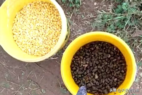 钓大物技巧视频,冬季野钓取物技巧口诀