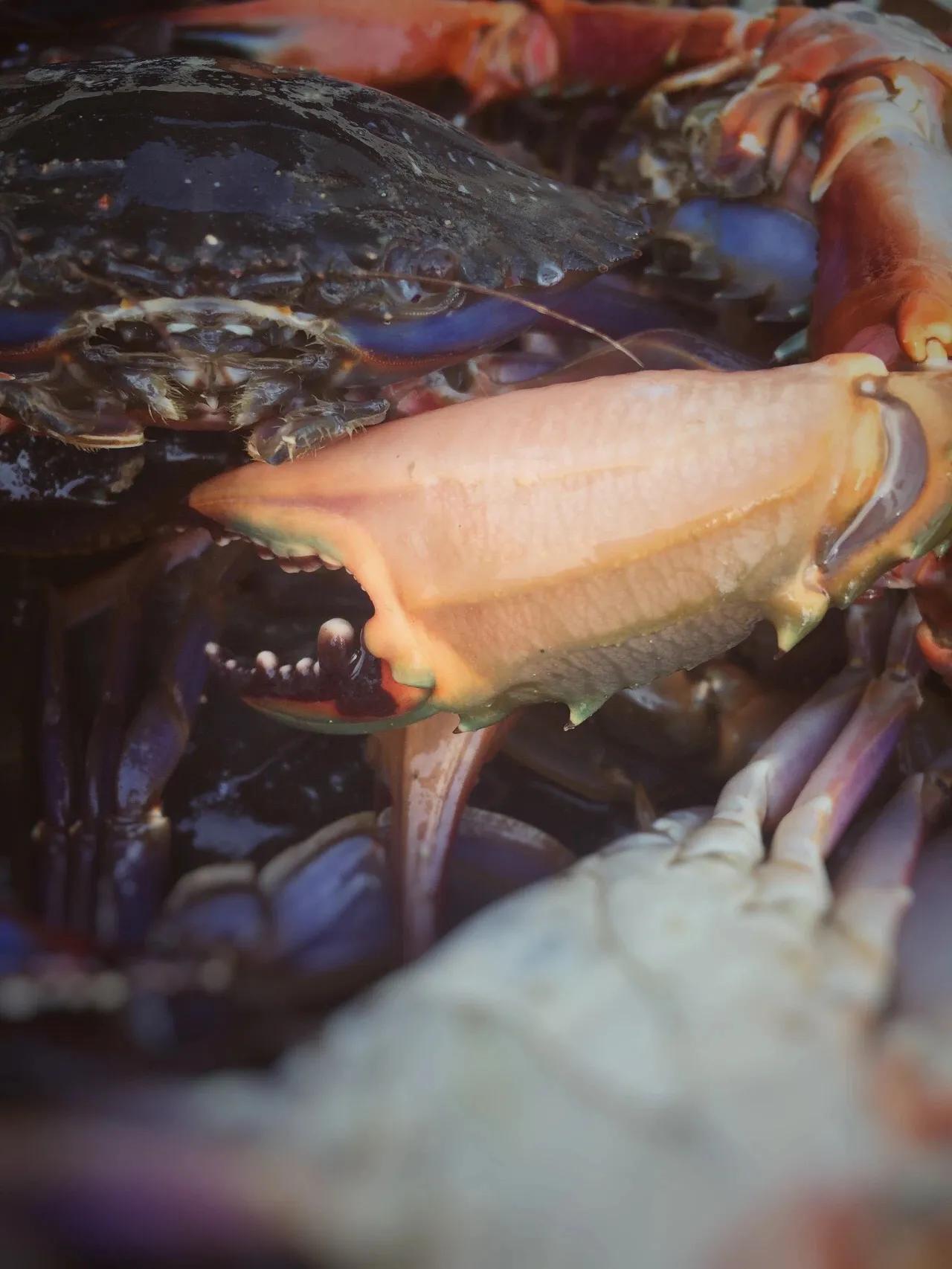 辽东半岛小渔村,辽南小渔村
