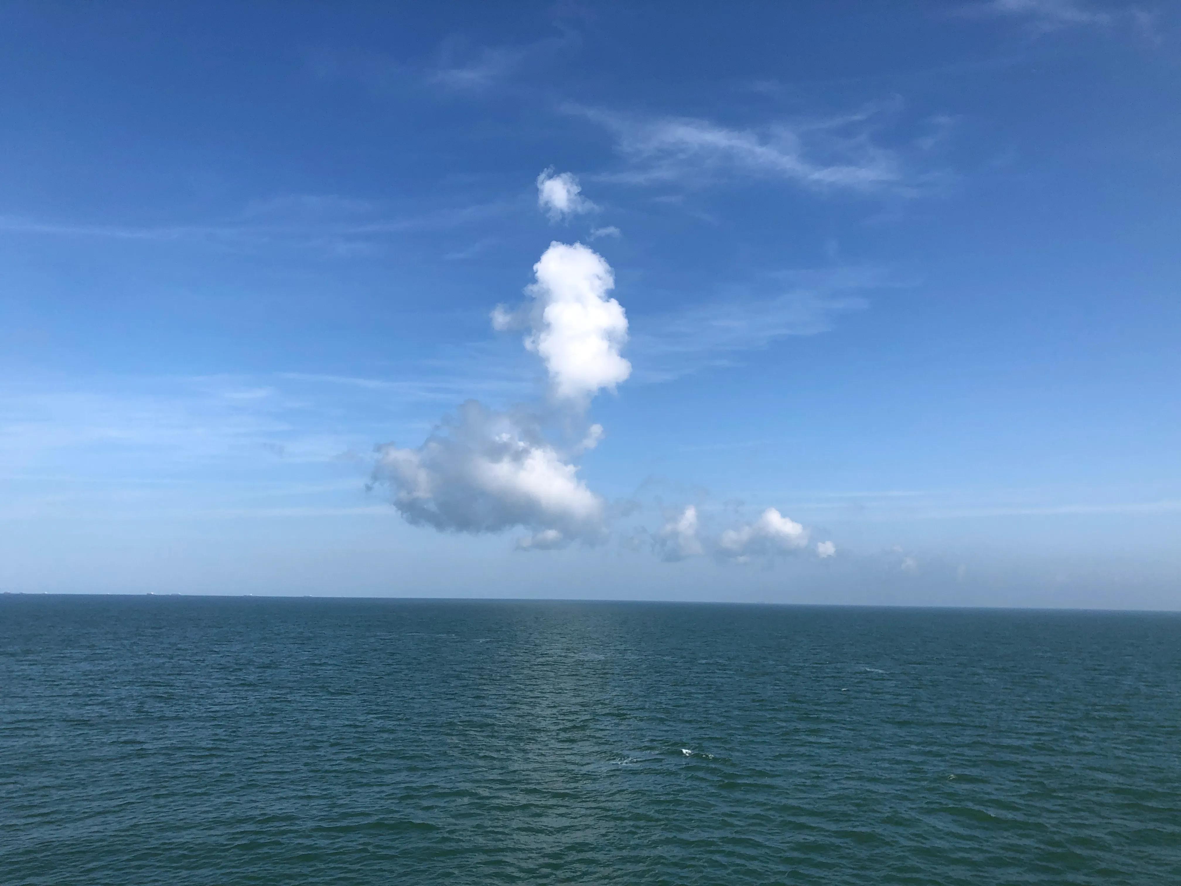 你想做海员吗,不要轻易去当海员