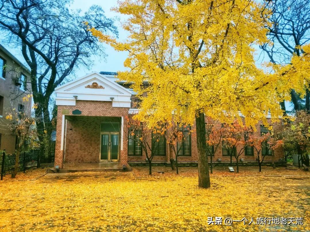 大连最浪漫的十个地方,大连浪漫景色