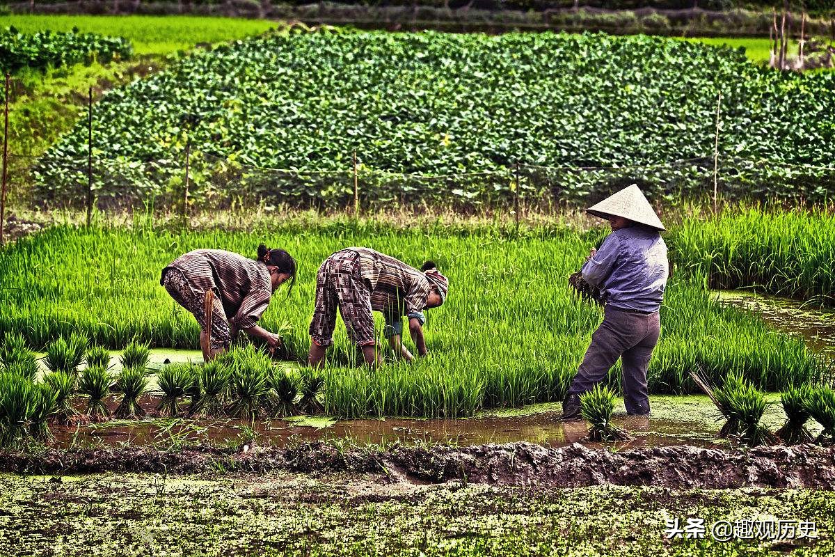 智利的领土为什么这么狭长,智利国土狭长