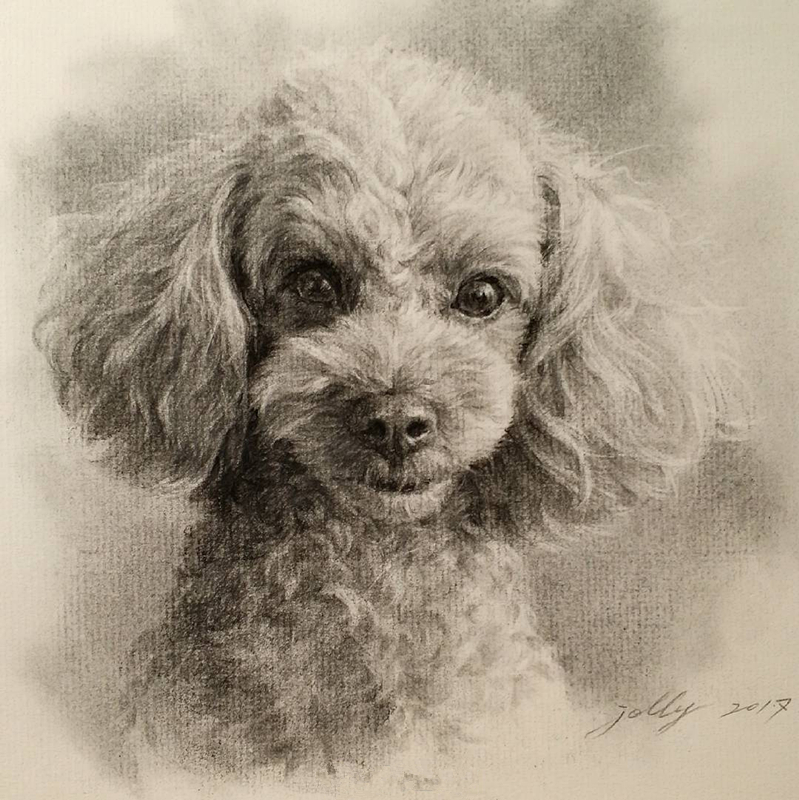 动物世界手绘画,写实素描动物插画教程