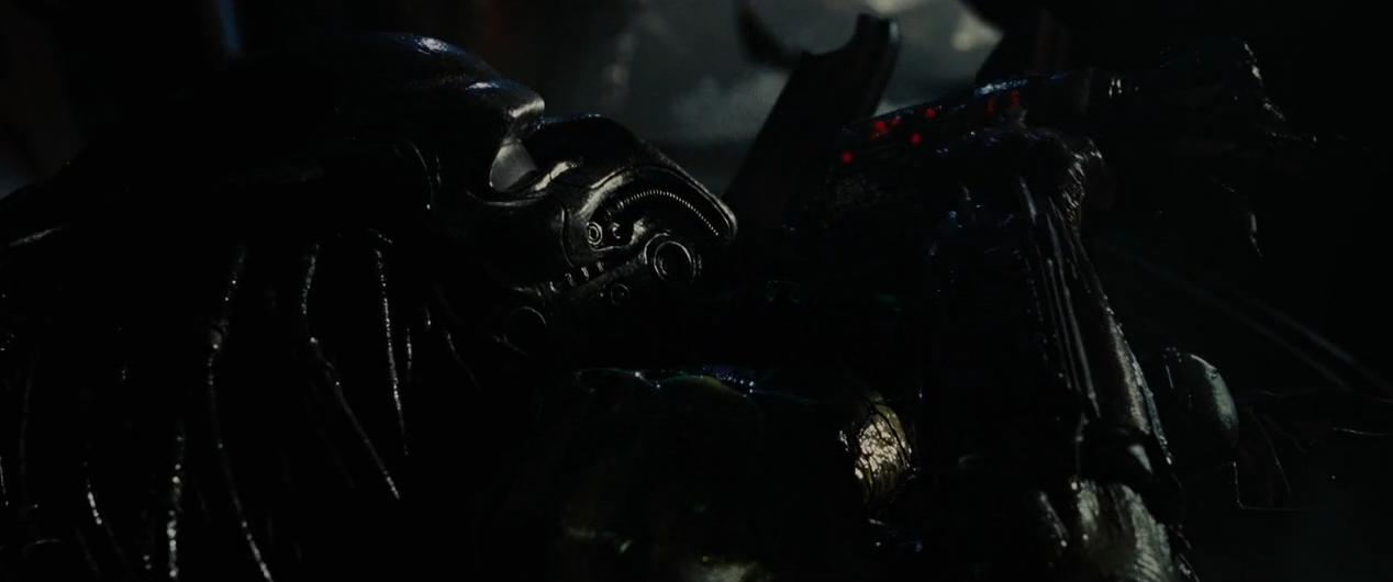 铁血战士系列解析,铁血战士形态全部解析