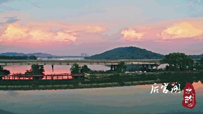 武汉蔡甸后官湖湿地公园,武汉后官湖湿地公园门票