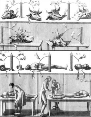 生与死有*界无**限？试图用电疗法复活生命的科学实验