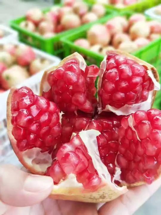 应季水果蔬菜时间表官方,一年四季的应季水果蔬菜有哪些呢