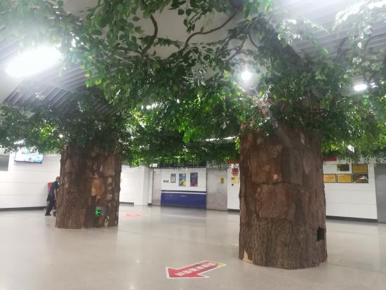 秋水广场南昌网红,秋水广场网红打卡