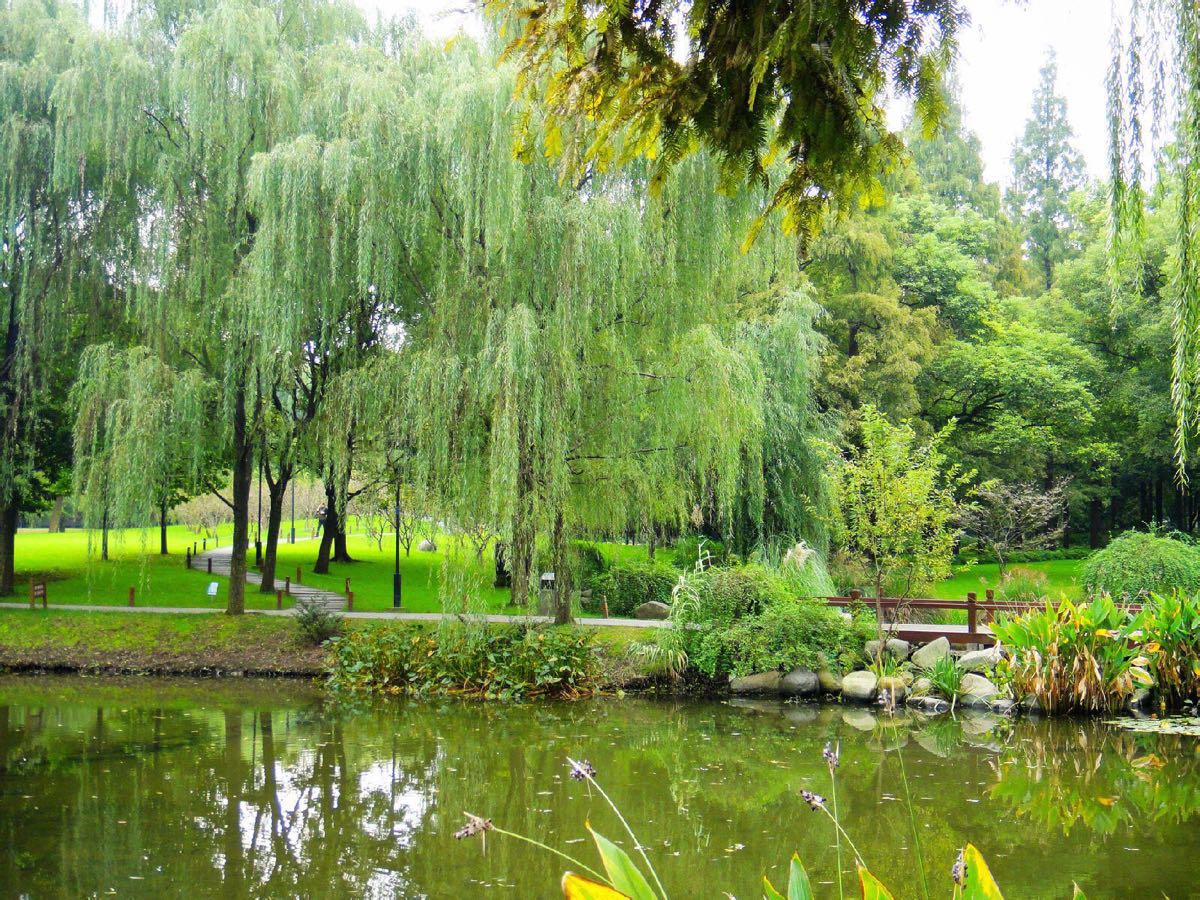 自驾杭州西湖旅游全攻略,杭州西湖旅游全攻略费用