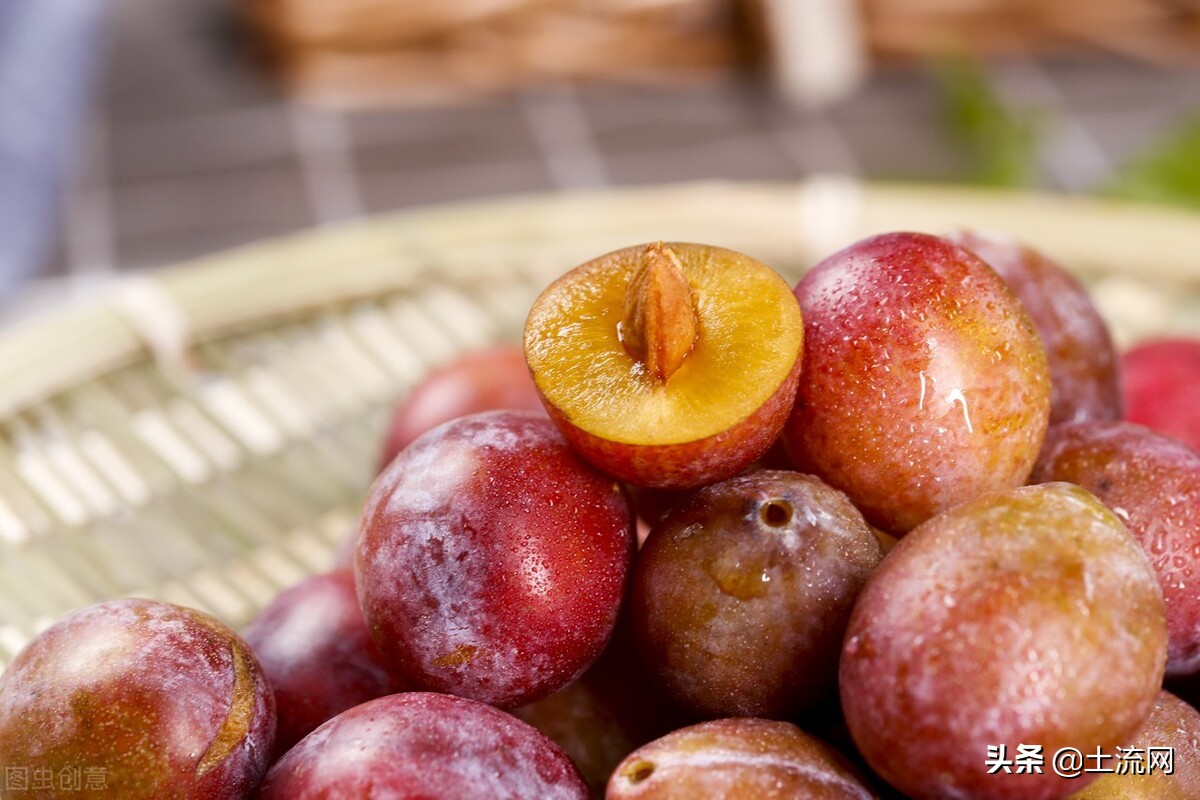 今天新鲜西梅价格,西梅6月份成熟西梅多少钱一斤