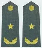 军官军衔和级别的对应关系,中国军官军衔等级一览表