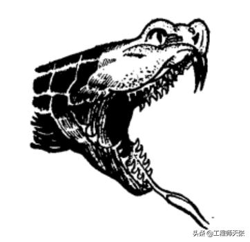 浙江男子走夜路被剧毒蛇咬，成功自救！做法实用，比教科书还经典