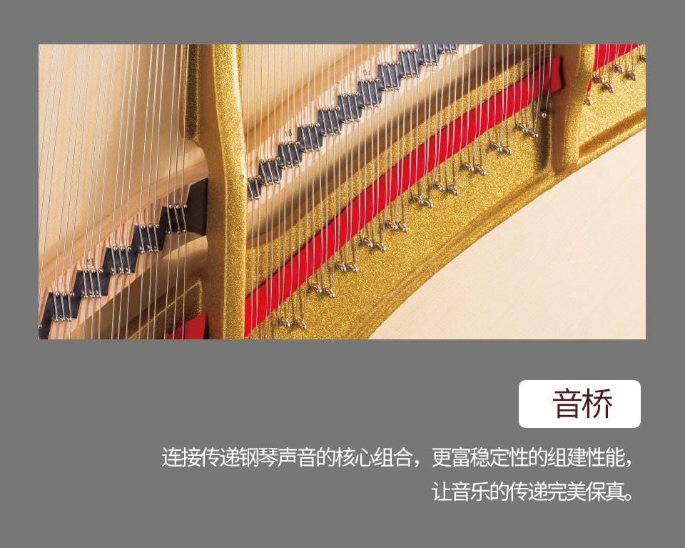 珠江钢琴全球限量纪念款PE121钢琴技术参数详解