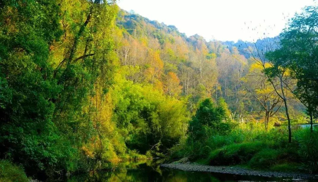 始兴市区游玩攻略,韶关始兴县旅游攻略