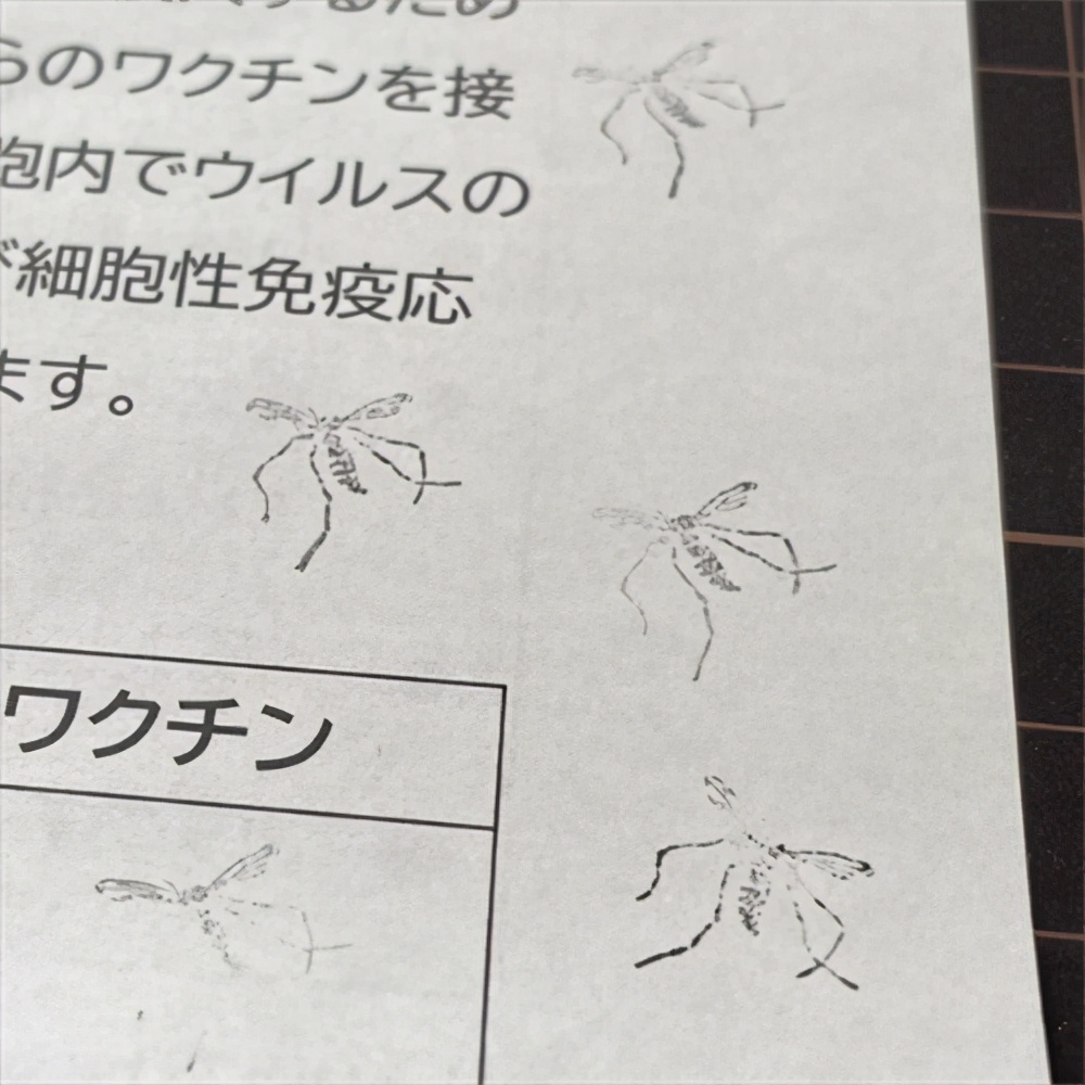 日本死亡日记本,日本死蚊子印章