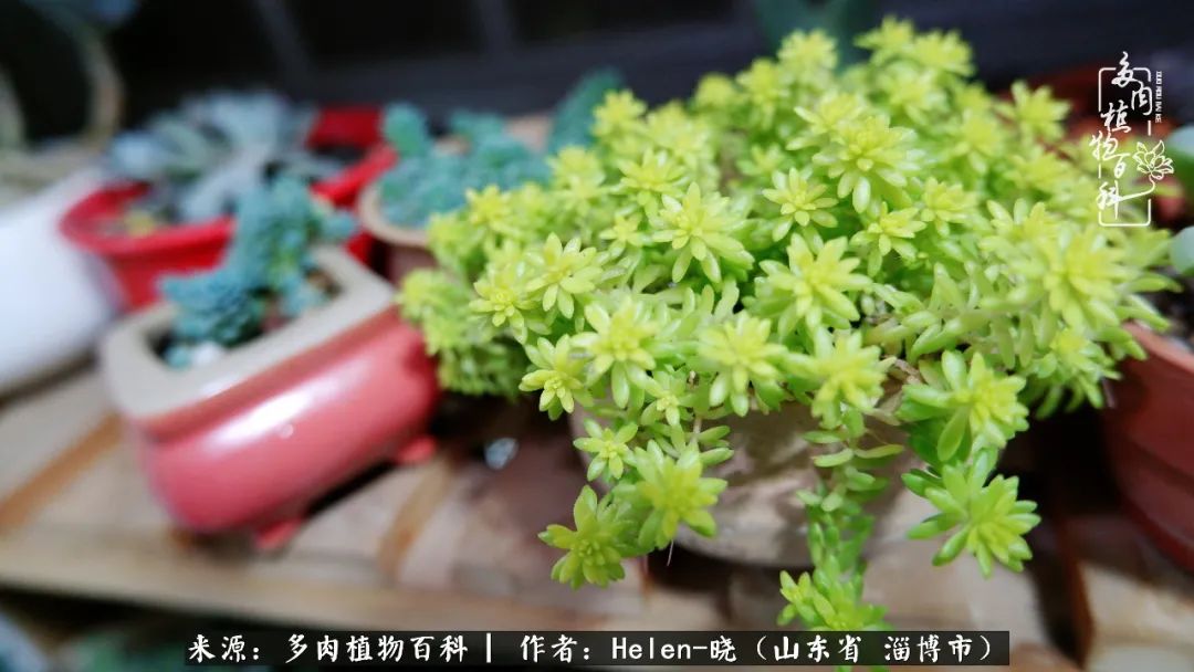 人到中年温暖如初,人到中年岁月静好