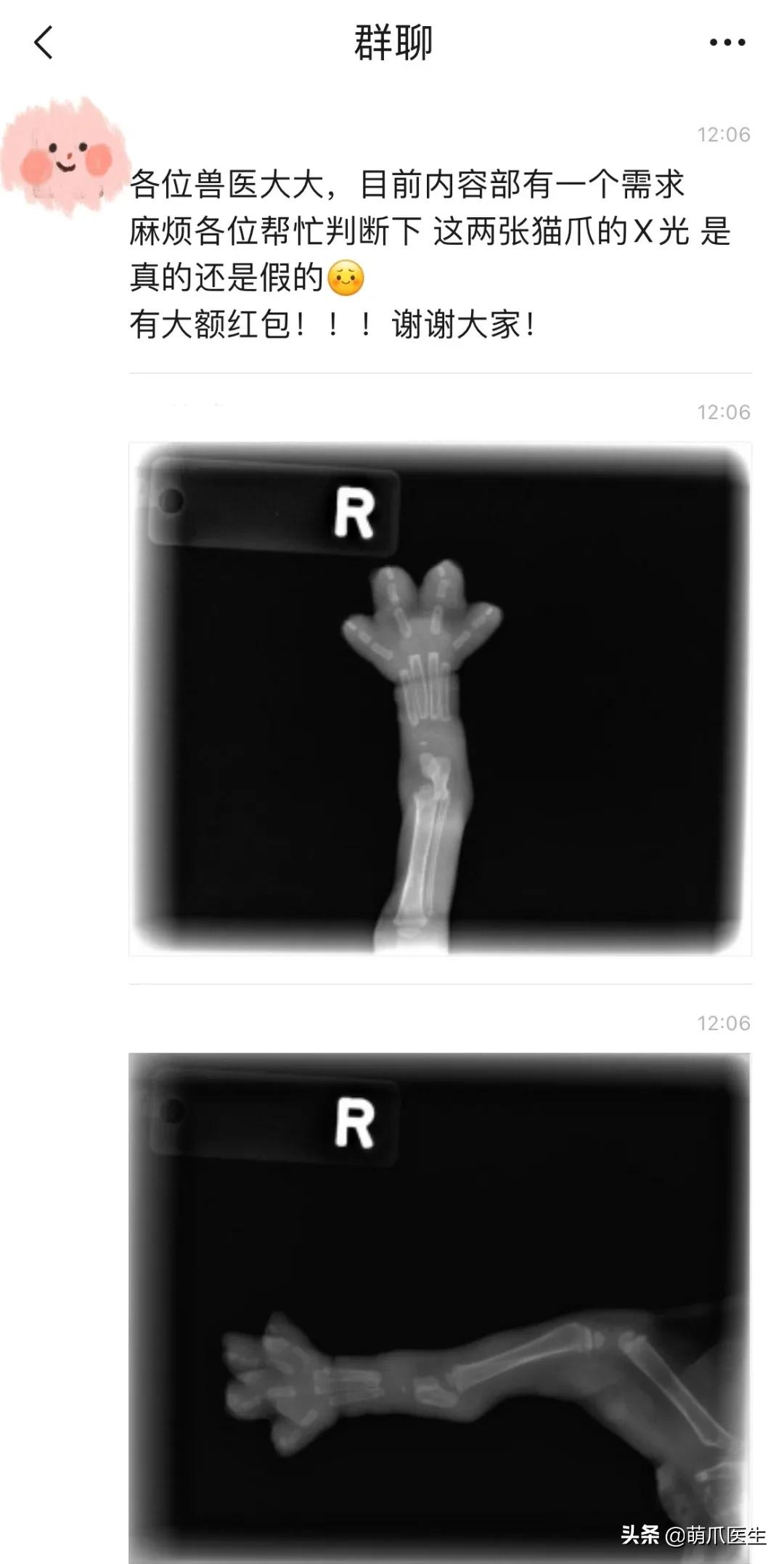 x光猫爪辟谣,猫爪x光是真的吗