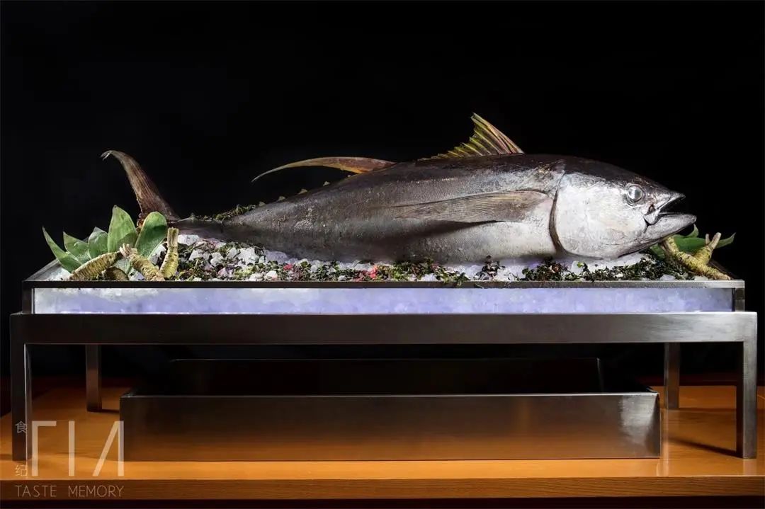 “海洋瑰宝·万家共享”——金枪鱼品鉴会邀请函