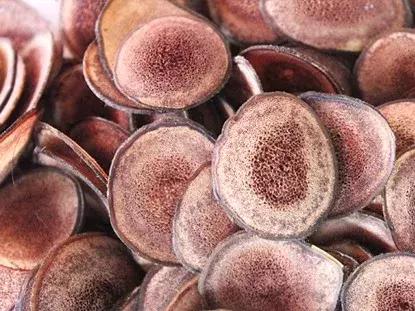 失眠注意力不集中湿气重,失眠脾胃不舒服感觉喘不过来气