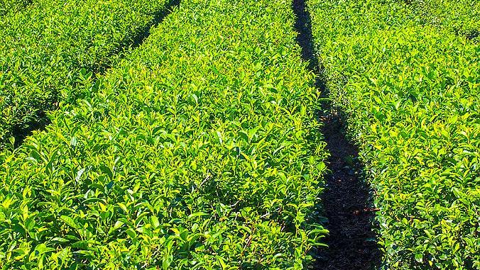 韩国济州岛绝美景点,济州岛的必打卡景点