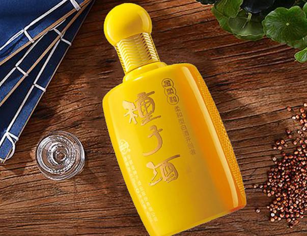 金种子酒的未来好吗,如何评价金种子酒