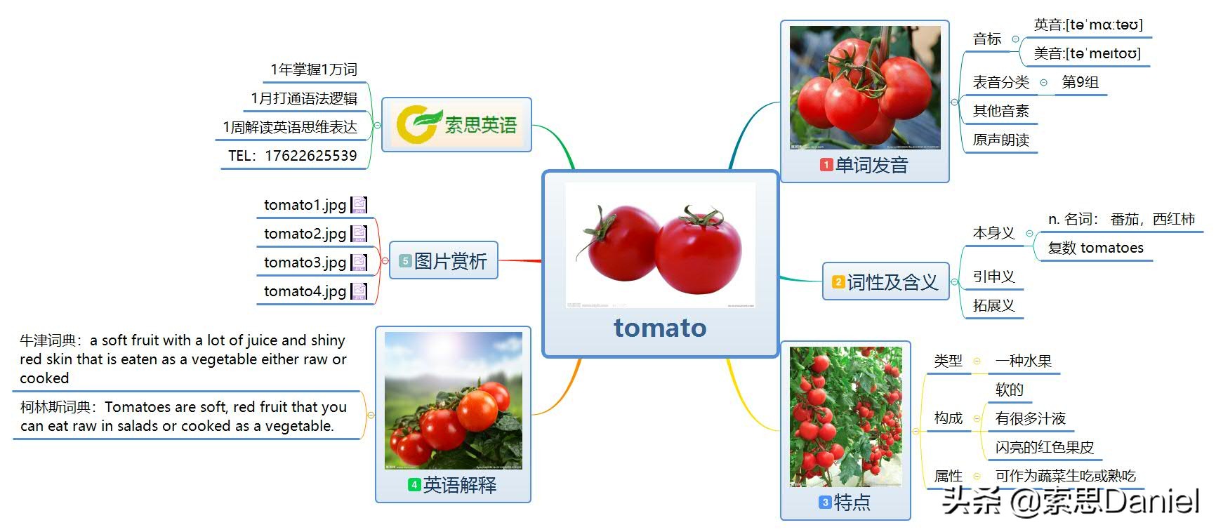 索思英语解码单词（第82个）——tomato西红柿