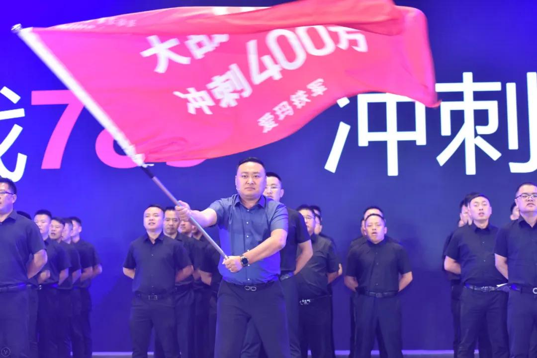 爱玛锂电池电动车2023新款,爱玛锂电车续航60公里