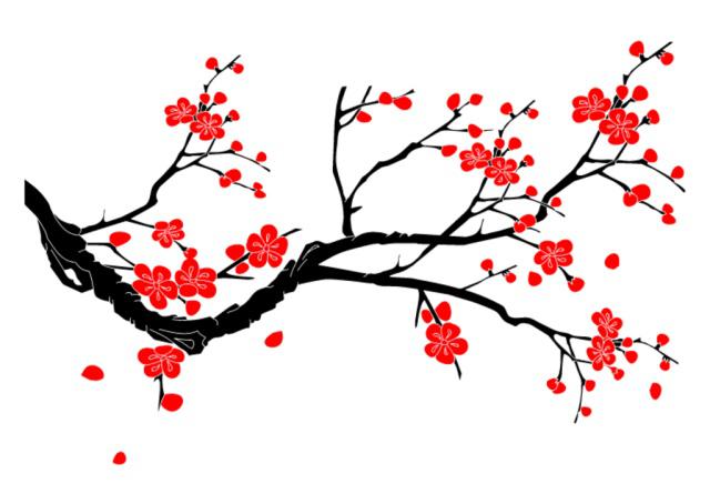 历史名花之争,你更喜欢哪种作为国花?