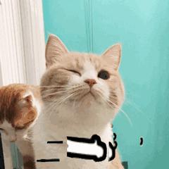 揭秘护肤成分科普,你不知道的护肤产品成分