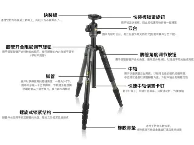 19个冷知识分享,19条有趣的冷知识大全