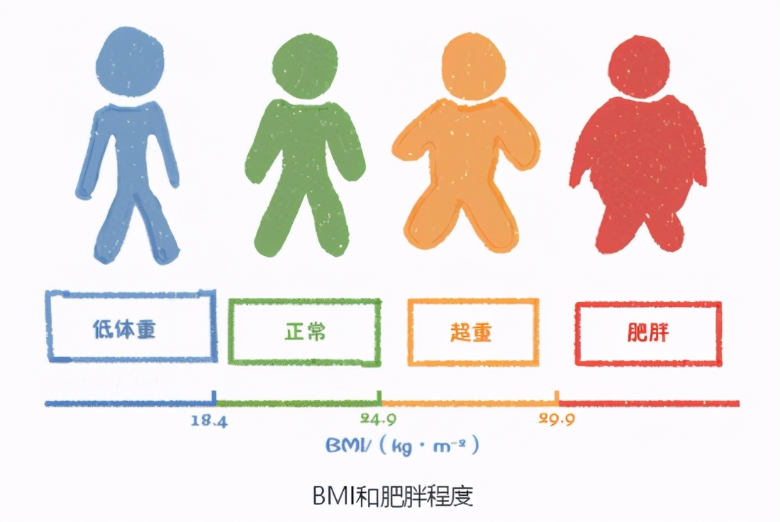 身体体质自检表您一定要测试一下,判断身体健康指数的方法