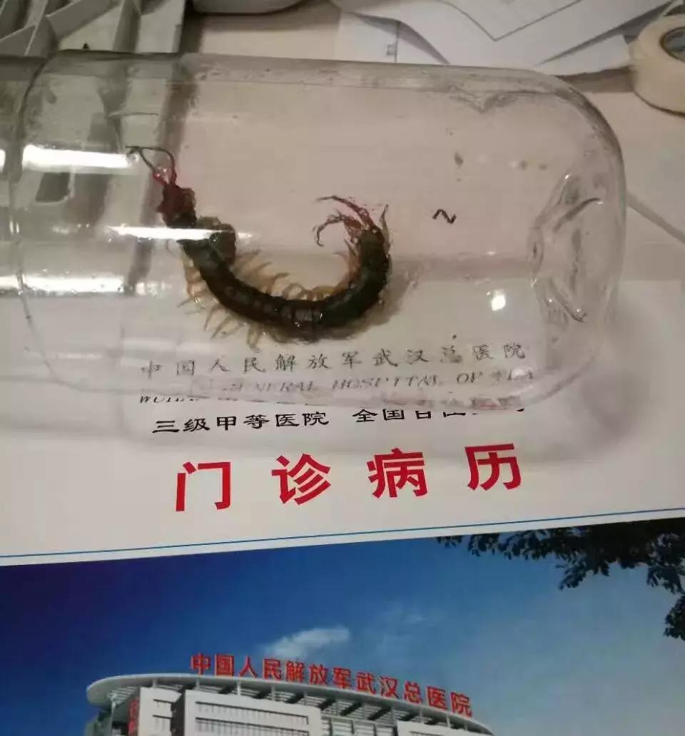 义务兵野外驻训需要带什么,野外训练兵哥哥都干什么