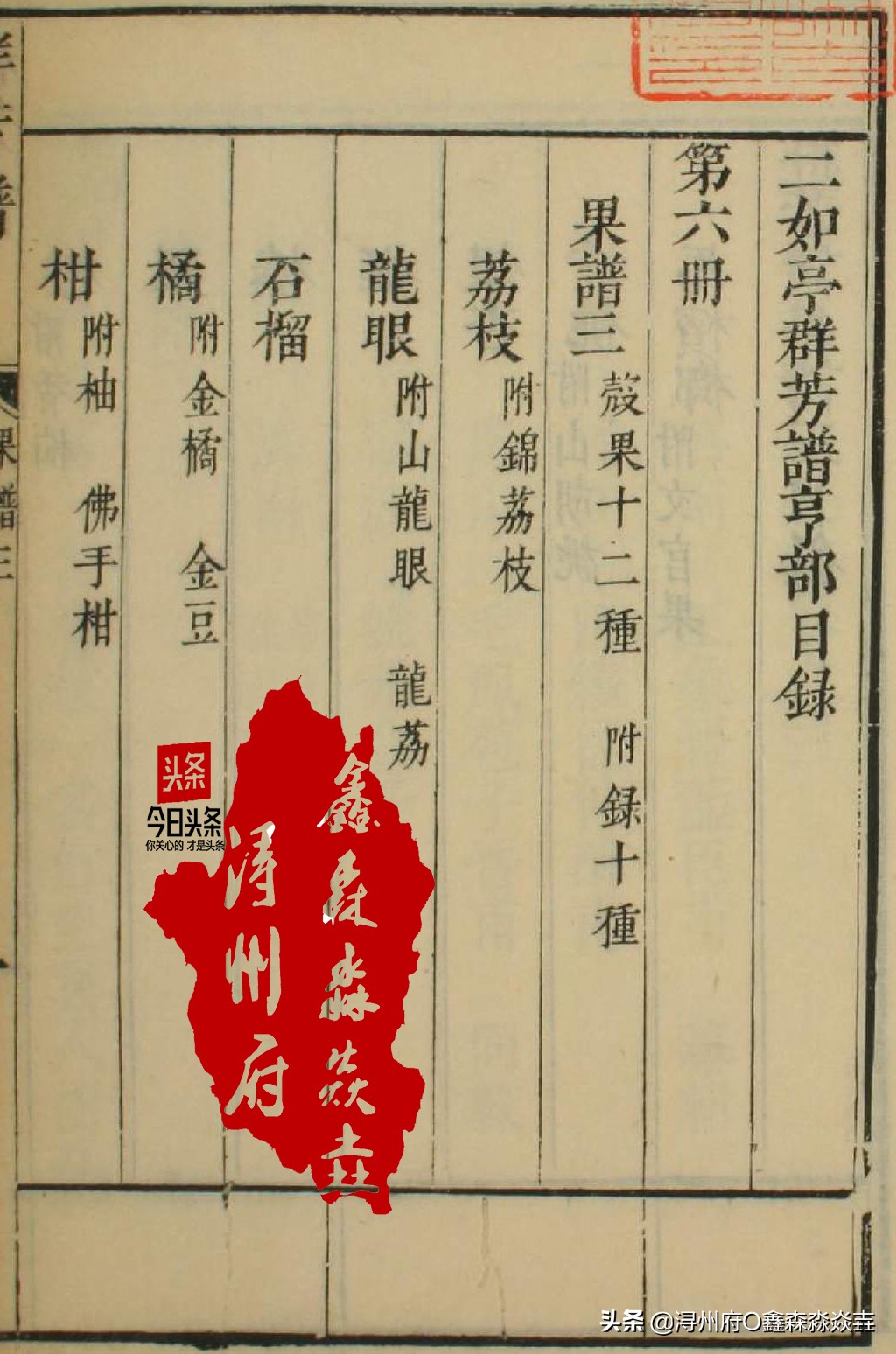 桂平麻垌中国荔枝之乡的石碑,麻垌荔枝之乡在哪里