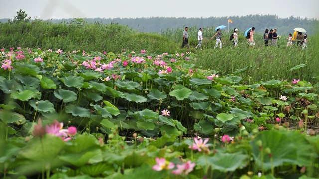 江苏有哪些5a旅游景点免费开放,江苏25个5a景区旅游攻略