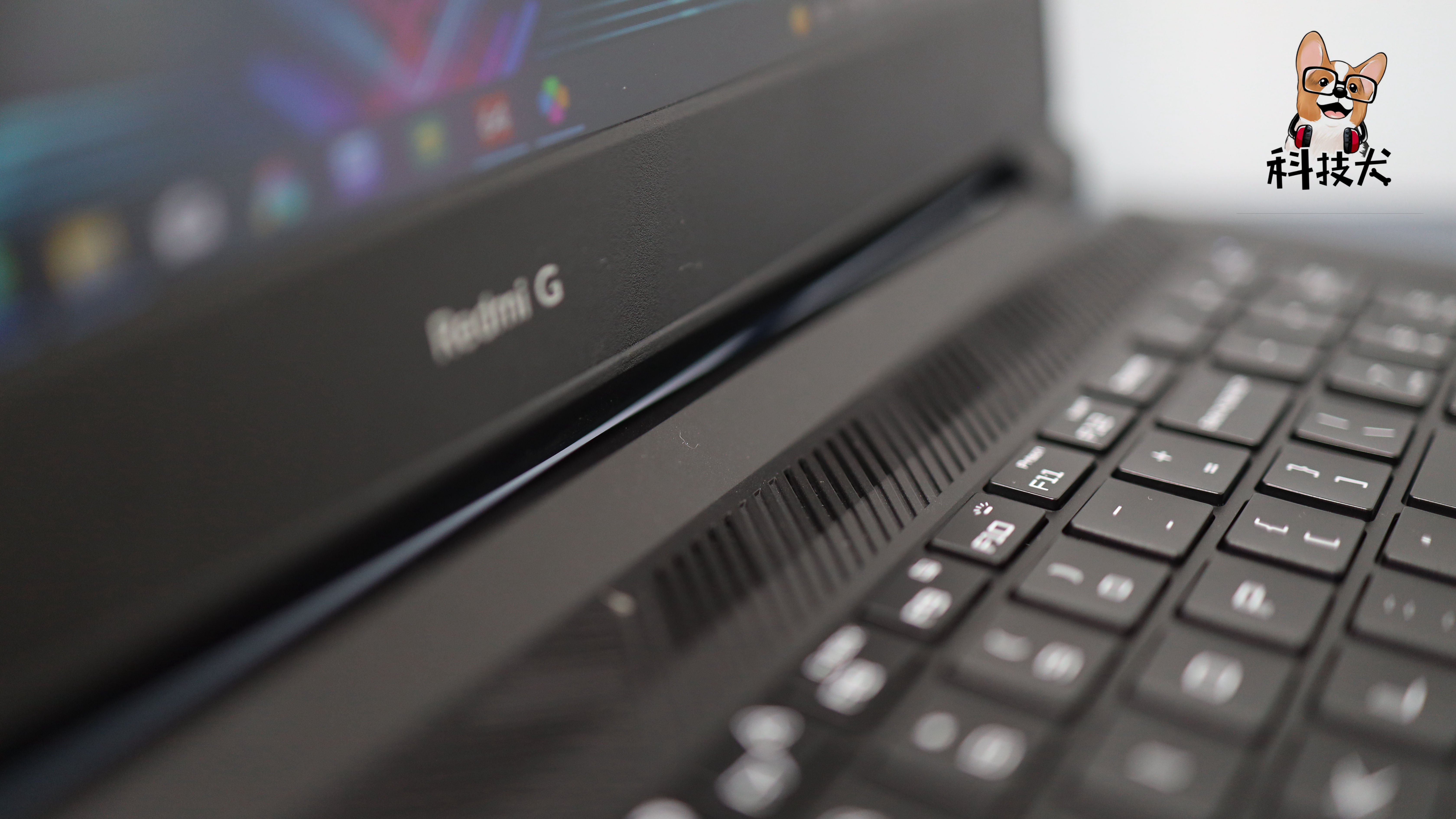 柯基狗幼犬多少钱一只,柯基犬最值得买的耳机